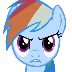 Size: 1280x1278 | Tagged: safe, artist:benpictures1, derpibooru import, rainbow dash, pegasus, pony, bats!, angry, cute, dashabetes, female, image, inkscape, looking at you, mare, png, simple background, solo, stop the bats, transparent background, vector