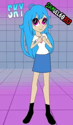 Size: 6036x10347 | Tagged: safe, artist:samuel60353, derpibooru import, human, equestria girls, check mark, clothes, crossover, friday night funkin', grid, heart, heart eyes, image, jpeg, shirt, shoes, skirt, sky (friday night funkin'), smiling, text, wingding eyes