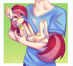 Size: 3330x3000 | Tagged: safe, artist:satan, derpibooru import, roseluck, earth pony, human, pony, behaving like a cat, collar, commission, commissioner:doom9454, cradling, cute, holding a pony, image, pet tag, png, pony pet, rosepet