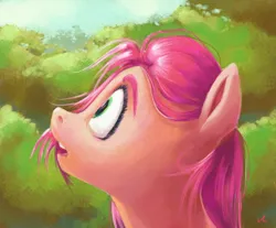 Size: 3450x2850 | Tagged: safe, artist:docwario, derpibooru import, sunny starscout, earth pony, pony, g5, image, looking up, open mouth, png, solo