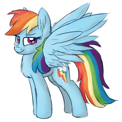 Size: 1000x1000 | Tagged: safe, artist:litrojia, derpibooru import, rainbow dash, pegasus, pony, colored sketch, female, image, lidded eyes, looking at you, mare, png, simple background, smiling, smiling at you, solo, spread wings, transparent background, wings