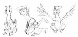 Size: 1200x582 | Tagged: safe, artist:alumx, derpibooru import, rainbow dash, pegasus, pony, female, grayscale, image, jpeg, mare, monochrome, simple background, sitting, sketch, solo, spread wings, white background, wing arms, wings