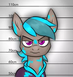 Size: 833x885 | Tagged: safe, artist:moonatik, derpibooru import, oc, oc:street cred, unofficial characters only, earth pony, angry, bags under eyes, bust, clothes, hoodie, image, mugshot, paint, png, solo