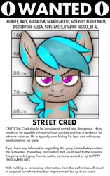 Size: 771x1224 | Tagged: semi-grimdark, suggestive, artist:moonatik, derpibooru import, oc, oc:street cred, unofficial characters only, earth pony, angry, bags under eyes, bust, clothes, hoodie, image, mugshot, paint, png, solo, text, wanted poster