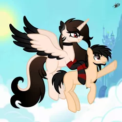 Size: 4179x4180 | Tagged: safe, artist:princessmoonsilver, derpibooru import, oc, oc:jon, oc:valeria-chan, alicorn, earth pony, pony, clothes, flying, image, jpeg, ponysona, socks