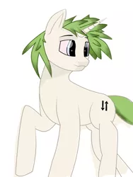 Size: 1585x2105 | Tagged: safe, artist:m37, derpibooru import, oc, oc:ein, unofficial characters only, pony, unicorn, blue eyes, colored sclera, eyebrows, green hair, horn, image, male, png, raised hoof, red sclera, simple background, smiling, solo, stallion, white background