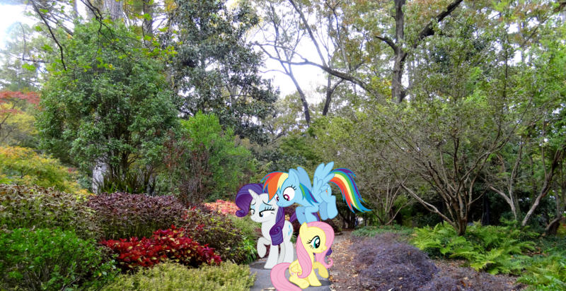 Size: 2097x1080 | Tagged: safe, artist:dashiesparkle, artist:mlplover94, derpibooru import, fluttershy, rainbow dash, rarity, pegasus, pony, unicorn, alabama, birmingham, female, garden, image, irl, looking down, mare, photo, png, ponies in real life, smiling, spread wings, wings