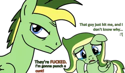 Size: 998x583 | Tagged: semi-grimdark, artist:didgereethebrony, artist:enifersuch, derpibooru import, oc, oc:boomerang beauty, oc:didgeree, pegasus, pony, base used, boomeree, crying, death stare, dialogue, frown, he chose violence, image, implied abuse, implied violence, png, siblings, simple background, swearing, tears of pain, trace, transparent background, vulgar