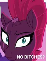 Size: 503x648 | Tagged: safe, artist:katharviss1, artist:maybehawthorn, derpibooru import, edit, tempest shadow, pony, unicorn, broken horn, cropped, horn, image, jpeg, meme, no bitches?, solo