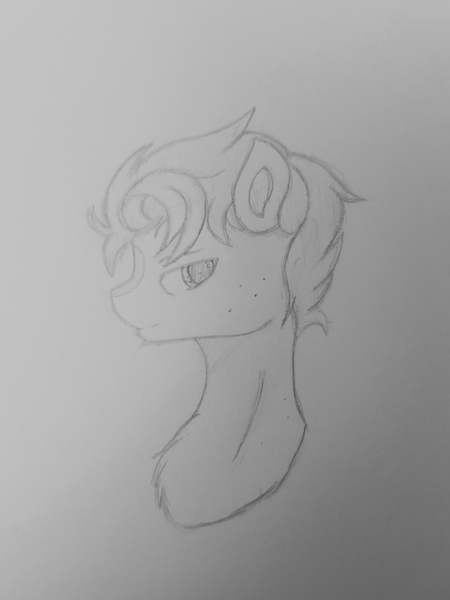 Size: 2731x3642 | Tagged: safe, artist:sodapop sprays, derpibooru import, unnamed character, unnamed pony, oc, unnamed oc, earth pony, pony, bust, eye, eyes, image, jpeg, male, mane, solo, stallion, traditional art