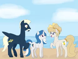 Size: 2809x2134 | Tagged: safe, artist:maddymoiselle, derpibooru import, oc, oc:mission belle, oc:rockwell, oc:silver strand, unofficial characters only, earth pony, pegasus, pony, unicorn, 2017, beach, earth pony oc, female, high res, horn, image, male, mare, pegasus oc, png, raised hoof, stallion, trio, unicorn oc, wings