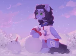 Size: 1469x1080 | Tagged: safe, artist:floweryoutoday, derpibooru import, oc, oc:skiu, unofficial characters only, pegasus, pony, bell, bell collar, clothes, collar, commission, image, png, smiling, snowman, solo, winter