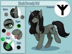 Size: 4050x3018 | Tagged: safe, artist:bellfa, derpibooru import, oc, oc:braunly, unofficial characters only, pony, unicorn, black hair, derpibooru exclusive, image, looking at you, png, reference sheet