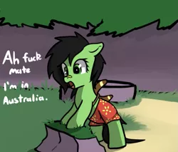 Size: 709x603 | Tagged: safe, artist:neuro, derpibooru import, oc, oc:anonfilly, unofficial characters only, earth pony, pony, boomerang, clothes, crossover, female, filly, foal, image, png, shorts, solo, ty the tasmanian tiger, vulgar