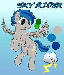 Size: 2554x3000 | Tagged: safe, artist:registereduser, derpibooru import, oc, oc:sky rider, unofficial characters only, pegasus, commission, cutie mark, flying, image, male, pegasus oc, png, reference sheet, solo, solo male, wings