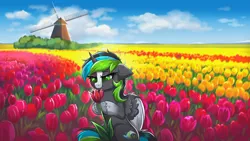 Size: 3840x2160 | Tagged: safe, artist:confetticakez, derpibooru import, oc, unofficial characters only, alicorn, pony, alicorn oc, field, flower, horn, image, png, scenery, solo, tulip, windmill, wings