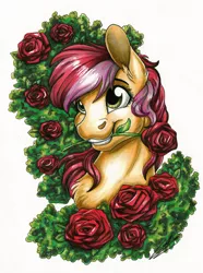 Size: 1726x2320 | Tagged: safe, artist:lupiarts, derpibooru import, roseluck, pony, background pony, bust, cute, drawing, fanart, female, flower, illustration, image, jpeg, mare, portrait, rose, simple background, solo, solo female, traditional art, white background