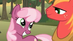 Size: 3410x1920 | Tagged: safe, derpibooru import, screencap, big macintosh, cheerilee, earth pony, pony, hearts and hooves day (episode), season 2, cheeribetes, cute, duo, female, grin, high res, image, jpeg, looking at each other, looking at someone, male, mare, smiling, smiling at each other, stallion