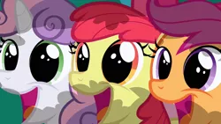 Size: 1280x720 | Tagged: safe, derpibooru import, screencap, apple bloom, scootaloo, sweetie belle, earth pony, pegasus, pony, unicorn, hearts and hooves day (episode), season 2, adorabloom, bush, close-up, cute, cutealoo, cutie mark crusaders, cutie mark cuties, diasweetes, dilated pupils, female, filly, foal, happy, image, png, smiling, trio, trio female