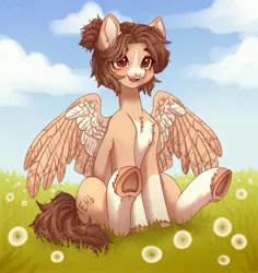 Size: 3275x3465 | Tagged: safe, artist:konejo, derpibooru import, oc, unofficial characters only, pegasus, pony, image, jpeg, solo
