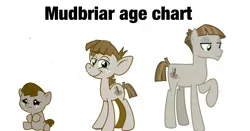 Size: 2048x1074 | Tagged: artist needed, safe, derpibooru import, mudbriar, earth pony, pony, age progression, age regression, baby, baby pony, colt, cute, foal, image, jpeg, looking at you, male, solo, stallion, younger