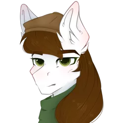 Size: 2500x2700 | Tagged: safe, artist:lickedrainbows, derpibooru import, oc, oc:obermedic, unofficial characters only, blushing, bust, ear fluff, hat, icon, image, png, portrait, simple background, solo, transparent background