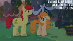 Size: 1280x720 | Tagged: safe, derpibooru import, edit, edited screencap, editor:quoterific, screencap, bright mac, pear butter, earth pony, pony, season 7, the perfect pear, cowboy hat, duo, female, floppy ears, hat, image, jpeg, male, mare, smiling, stallion, text