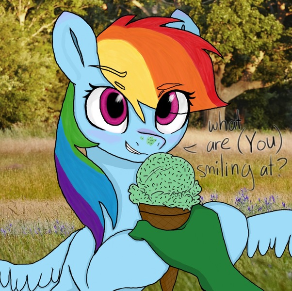Size: 1371x1366 | Tagged: safe, artist:redruin01, color edit, derpibooru import, edit, mint chip, rainbow dash, oc, oc:anon, human, pegasus, pony, (you), colored, cute, dashabetes, dialogue, eye clipping through hair, eyebrows, eyebrows visible through hair, female, food, hand, holding, human male, human oc, ice cream, ice cream cone, ice cream on nose, image, irl, jpeg, looking at you, male, mare, offscreen character, photo, pov, real life background, smiling, smirk, spread wings, talking, talking to viewer, wings