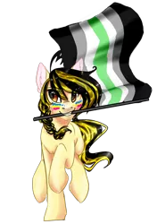 Size: 1054x1496 | Tagged: safe, artist:lightningchaserarts, derpibooru import, oc, oc:lightning chaser, earth pony, agender, asexual, digital art, galloping, image, intersex, panromantic, pansexual, png, pride, pride flag