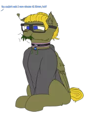 Size: 3000x4000 | Tagged: safe, artist:donnik, derpibooru import, oc, oc:blue, oc:donnik, pegasus, pony, clothes, collar, eating, glasses, grass, hoodie, image, offscreen character, png, solo