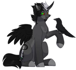 Size: 2805x2600 | Tagged: safe, artist:purplegrim40, derpibooru import, oc, unofficial characters only, alicorn, bird, crow, pony, alicorn oc, colored hooves, horn, image, male, png, simple background, solo, stallion, transparent background, wings