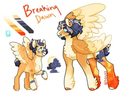 Size: 1280x990 | Tagged: safe, artist:sallyqwest623, derpibooru import, oc, oc:breaking dawn, unofficial characters only, pegasus, pony, alternate design, chest fluff, feathered fetlocks, female, image, jpeg, mare, offspring, parent:flash sentry, parent:twilight sparkle, parents:flashlight, reference sheet, simple background, solo, twitterina design, white background