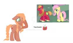 Size: 1600x940 | Tagged: safe, artist:aunickakim, derpibooru import, big macintosh, fluttershy, oc, oc:tiny cruch, earth pony, pegasus, pony, base used, braided tail, deviantart watermark, female, fluttermac, freckles, image, jewelry, jpeg, male, mare, necklace, obtrusive watermark, offspring, parent:big macintosh, parent:fluttershy, parents:fluttermac, screencap reference, shipping, simple background, straight, tail, text, watermark, white background