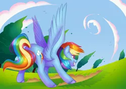 Size: 4096x2896 | Tagged: safe, artist:artharuhi, derpibooru import, rainbow dash, pegasus, pony, action pose, female, image, jpeg, mare, solo