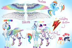 Size: 1280x850 | Tagged: safe, artist:malinraf1615, derpibooru import, rainbow dash, soarin', pegasus, pony, alternate design, alternate hairstyle, chest fluff, colored wings, ear fluff, female, grin, heart, image, jewelry, jpeg, leg fluff, leonine tail, male, mare, markings, multicolored wings, one eye closed, redesign, reference sheet, ring, shipping, smiling, soarindash, solo focus, stallion, straight, tail, twitterina design, unshorn fetlocks, wedding ring, wings, wink