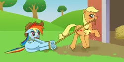 Size: 1616x809 | Tagged: suggestive, artist:friendshipishorses, derpibooru import, applejack, rainbow dash, earth pony, pegasus, pony, accessory theft, apple, apple gag, appledash, applejack's hat, blushing, bondage, captured, cowboy hat, dragging, female, food, gag, hat, hogtied, image, lasso, lesbian, looking at each other, looking at someone, looking back, mouth hold, png, rope, shipping
