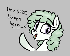 Size: 239x192 | Tagged: safe, artist:seafooddinner, derpibooru import, oc, oc:lichen, unofficial characters only, pony, taiga pony, aggie.io, bust, dialogue, female, gray background, image, lowres, mare, open mouth, png, pun, raised hoof, simple background, smiling, talking