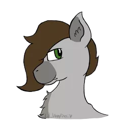 Size: 820x820 | Tagged: safe, artist:lil_vampirecj, derpibooru import, oc, oc:cj vampire, unofficial characters only, earth pony, pony, bust, clip studio paint, fangs, image, looking at you, png, portrait, simple background, smiling, smiling at you, solo, transparent background