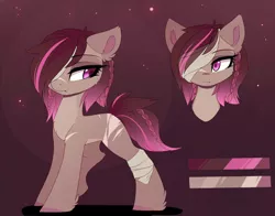 Size: 1433x1125 | Tagged: safe, artist:magnaluna, derpibooru import, oc, oc:valyriem valai, unofficial characters only, earth pony, pony, bandage, bookshelf, braid, bust, chest fluff, eyepatch, female, full body, hair over one eye, image, jpeg, mare, portrait, reference sheet, scar, smiling, solo