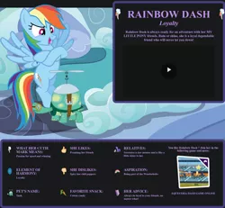 Size: 1700x1569 | Tagged: safe, derpibooru import, official, rainbow dash, tank, pony, tortoise, biography, image, png