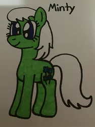 Size: 2448x3264 | Tagged: safe, artist:maddiedraws5678, derpibooru import, minty (g1), earth pony, pony, blue eyes, cute, female, full body, g1, g1 mintabetes, g1 to g4, g4, generation leap, hooves, image, jpeg, mare, simple background, smiling, solo, standing, tail, traditional art, white background, white hair, white mane, white tail