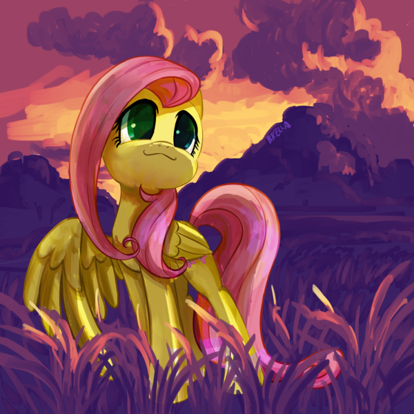 Size: 1600x1600 | Tagged: safe, artist:brella, derpibooru import, fluttershy, pegasus, pony, cloud, cute, female, image, mare, png, shyabetes, solo