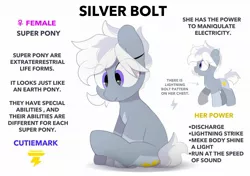 Size: 2064x1457 | Tagged: safe, artist:mochi_nation, derpibooru import, oc, oc:silver bolt, unofficial characters only, earth pony, pony, coat markings, eye clipping through hair, female, image, jpeg, mare, misspelling, reference sheet, simple background, sitting, solo, white background