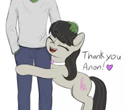 Size: 1040x917 | Tagged: safe, artist:zippysqrl, octavia melody, oc, oc:anon, earth pony, pony, dialogue, eyes closed, heart, hug, image, open mouth, png, simple background, smiling, thank you, white background