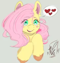 Size: 522x552 | Tagged: safe, artist:zeplenx, derpibooru import, fluttershy, pony, blushing, bust, colored ear fluff, colored hooves, female, heart, image, looking at you, mare, open mouth, open smile, pictogram, png, simple background, smiling, solo, speech bubble, spoken heart