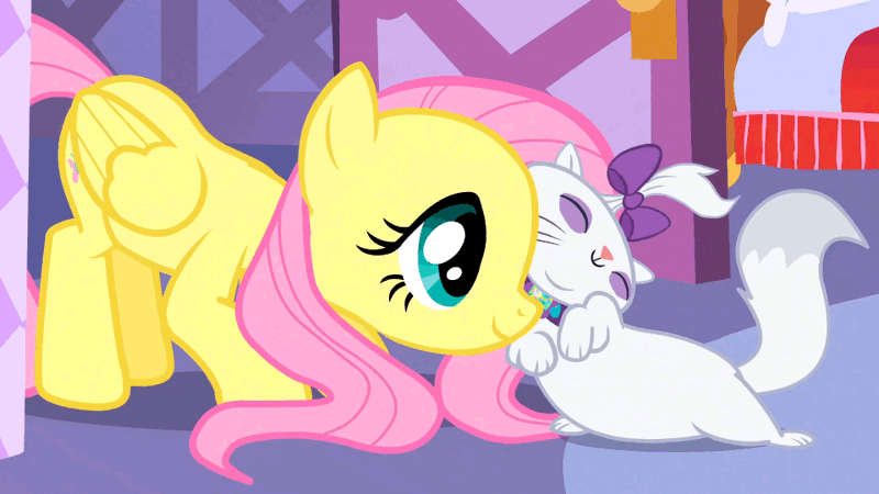 Size: 960x540 | Tagged: safe, derpibooru import, editor:computershits, screencap, fluttershy, opalescence, cat, pony, season 1, stare master, animated, bow, carousel boutique, cute, female, folded wings, g4, gif, hair bow, image, kneeling, mare, nuzzling, opalbetes, shyabetes, smiling, tail, tail whip, wings