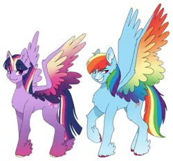 Size: 1119x1039 | Tagged: safe, artist:yellow-cactus-aka-me, rainbow dash, twilight sparkle, alicorn, pegasus, pony, alternate design, colored hooves, colored wings, duo, duo female, facial markings, feathered ears, feathered fetlocks, female, gradient hooves, image, mare, multicolored wings, png, rainbow wings, raised hoof, simple background, smiling, spread wings, standing, white background, wings
