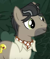 Size: 419x494 | Tagged: safe, derpibooru import, screencap, doctor caballeron, earth pony, pony, daring doubt, bush, close-up, clothes, cropped, cute, cutealleron, daaaaaaaaaaaw, image, male, png, solo, stallion