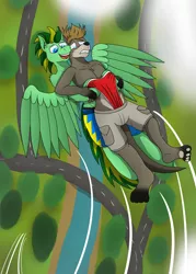 Size: 3214x4500 | Tagged: suggestive, artist:tacomytaco, derpibooru import, oc, oc:taco.m.tacoson, unofficial characters only, anthro, pegasus, pony, briefs, clothes, flying, frontal wedgie, gritted teeth, hug, image, male, males only, pain, partial nudity, png, shorts, smiling, spread wings, teeth, topless, underwear, wedgie, wings