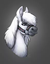 Size: 1924x2467 | Tagged: safe, artist:selenophile, derpibooru import, oc, oc:fall frost, unofficial characters only, pony, taiga pony, bridle, bust, eye clipping through hair, female, hoers, image, jpeg, mare, solo, tack